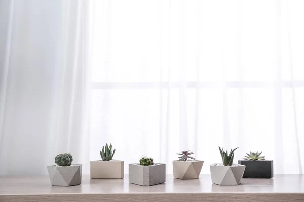 Diferentes plantas en macetas en el alféizar de la ventana, espacio para el texto. Decoración del hogar — Foto de Stock