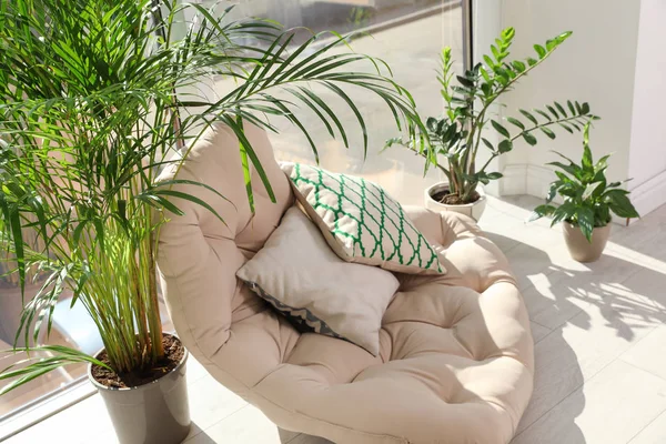 Mysigt ställe med fåtölj kudde och krukväxter hemma — Stockfoto