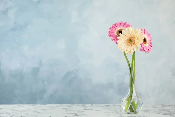 Ramillete de hermosas flores de gerberas brillantes en jarrón de vidrio sobre mesa de mármol sobre fondo de color. Espacio para texto — Foto de Stock