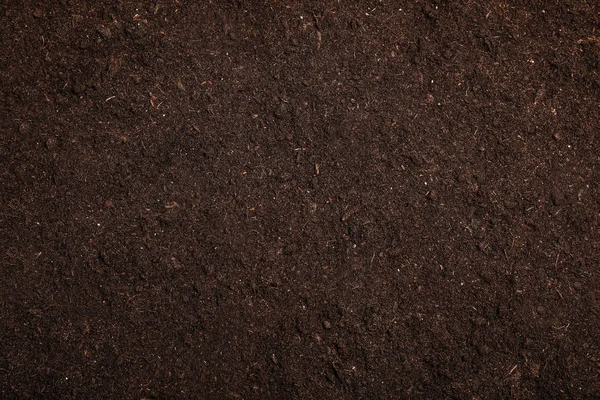 Текстурированная плодородная почва в качестве фона. Садоводство — стоковое фото