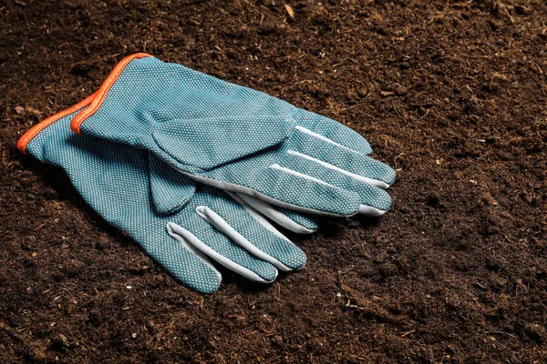 Pair of protective gloves for gardening on soil