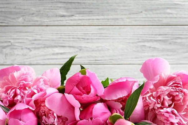 Illatos pünkösdi rózsa ellen fából készült háttér. Gyönyörű tavaszi virágok — Stock Fotó