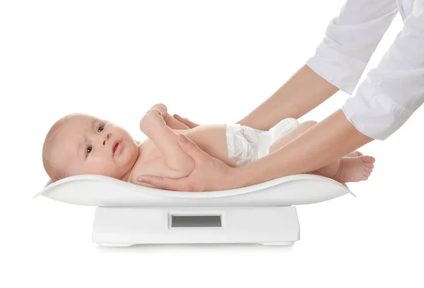 Arzt wägt Baby auf Waage vor weißem Hintergrund — Stockfoto