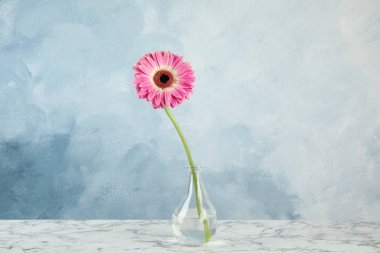 Renk arka plan karşı mermer masada vazo güzel parlak gerbera çiçek