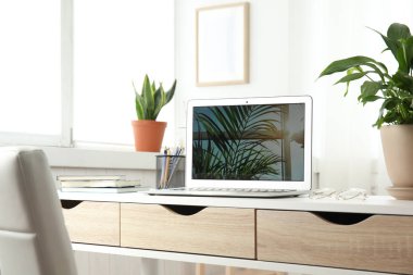 Ofis içi masada houseplants ve laptop