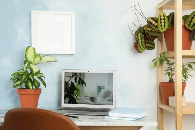 Ofis içi masada houseplants ve laptop