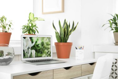 Ofis içi masada houseplants ve laptop
