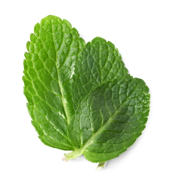 Hojas húmedas de menta fresca aisladas en blanco —  Fotos de Stock