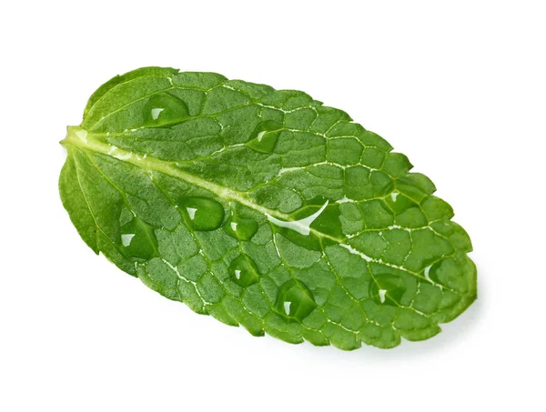 Wet leaf of fresh mint isolated on white, top view — 스톡 사진