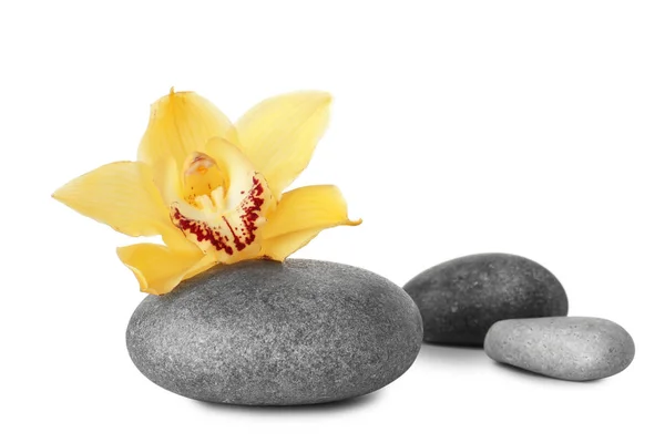 Wellness-Steine und schöne Orchidee auf weißem Hintergrund — Stockfoto