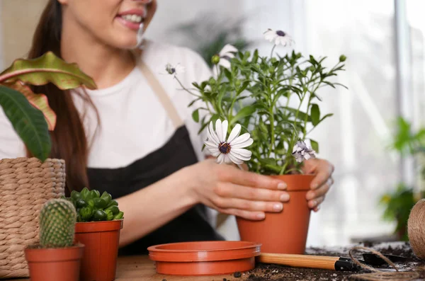 Jovem mulher cuidando de plantas em vaso em casa, close-up — Fotografia de Stock