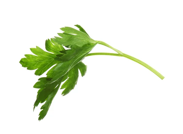 Свежая зеленая органическая петрушка на белом фоне — стоковое фото