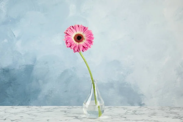 Renk arka plan karşı mermer masada vazo güzel parlak gerbera çiçek — Stok fotoğraf