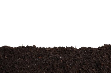 Layer of fresh soil isolated on white. Gardening time clipart