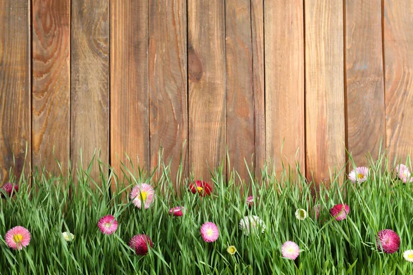 Яскрава зелена трава з красивими квітами на дерев'яному фоні, простір для тексту — стокове фото