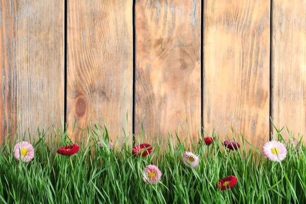 Levendig groen gras met mooie bloemen tegen houten achtergrond, ruimte voor tekst — Stockfoto
