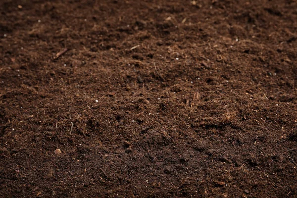 Teksturowane żyzne gleby jako tło. Sezon ogrodniczy — Zdjęcie stockowe