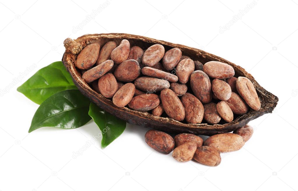 Composition with cocoa beans on white background