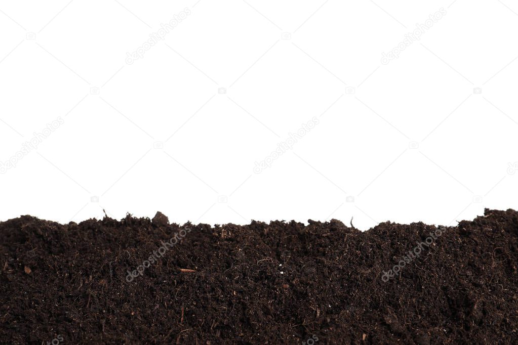 Layer of fresh soil isolated on white. Gardening time
