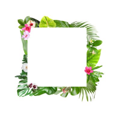 Çerçeve beyaz arka planda güzel tropikal yaprakları ve çiçekler yapılmış, üst görünüm. Metin alanı