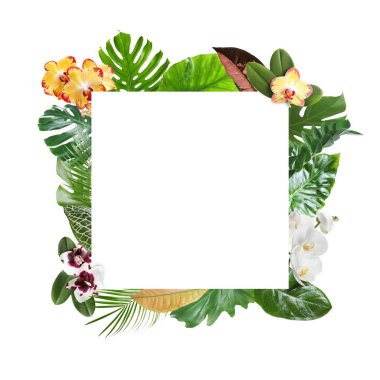 Çerçeve beyaz arka planda güzel tropikal yaprakları ve çiçekler yapılmış, üst görünüm. Metin alanı