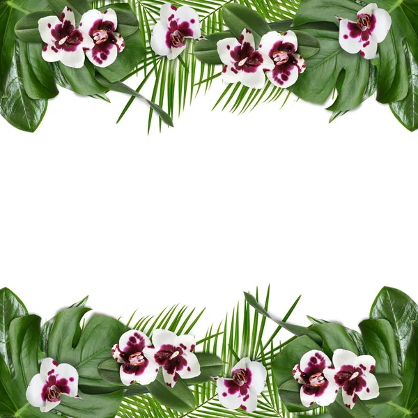 Frame made of beautiful tropical leaves and flowers on white background, top view