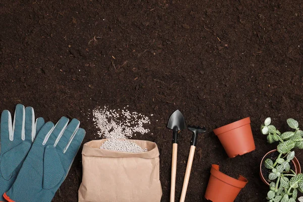 Composição de colocação plana com ferramentas de jardinagem e fertilizante químico no solo. Espaço para texto — Fotografia de Stock