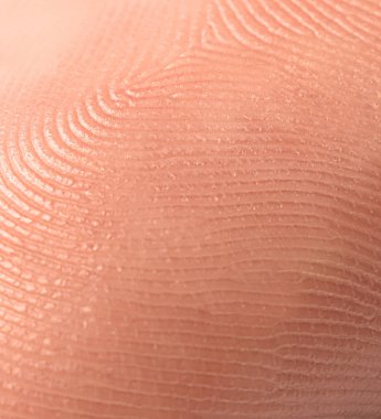 Closeup view of human finger. Friction ridge pattern clipart