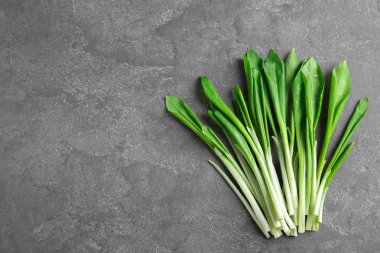 Gri masada taze yabani sarımsak veya ramson, metin için alan ile üst görünüm