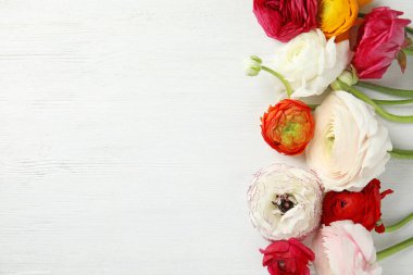 Bahar Ranunculus çiçekler ve beyaz ahşap arka planda metin için alan, düz yatıyordu