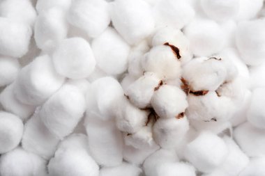 Pamuklu topları üzerinde metin için kabarık çiçekler ve alan, yukarıdan görünüm