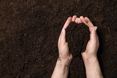 Kadın el verimli toprak tutan, metin için boşluk ile çekim. Bahçe sezonu