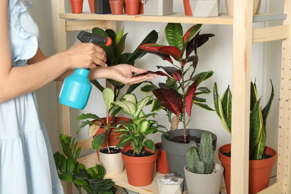 Vrouw sproeien indoor planten in de buurt van muur thuis, close-up — Stockfoto