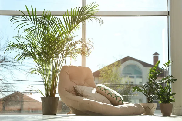 Gemütliches Plätzchen mit Sesselkissen und Topfpflanzen zu Hause — Stockfoto