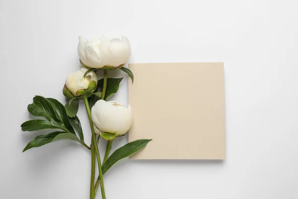 Peônias perfumadas e cartão em branco no fundo branco, vista superior com espaço para texto. Lindas flores de primavera — Fotografia de Stock
