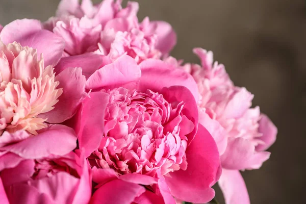 Duftende peonier på farget bakgrunn, nærbilde. Vakre vårblomster – stockfoto