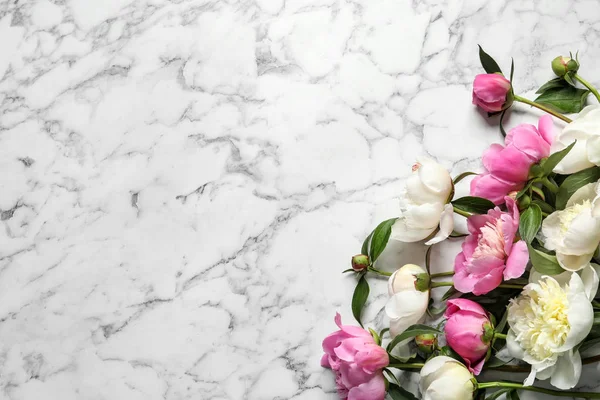 Peonie profumate sul tavolo di marmo, vista dall'alto con spazio per il testo. Bellissimi fiori primaverili — Foto Stock