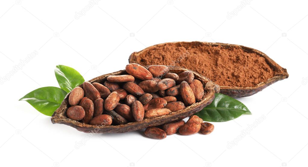 Composition with cocoa beans and powder on white background