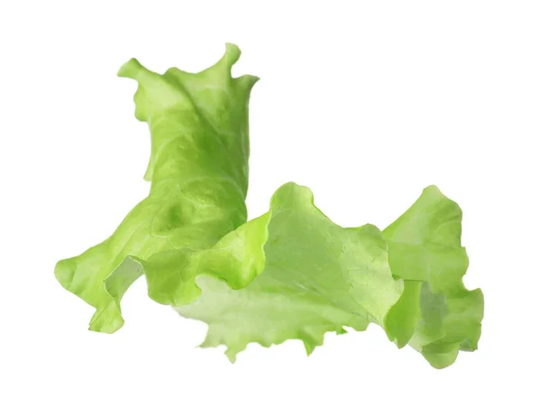 Leaf of fresh lettuce for burger isolated on white — Stock Photo, Image