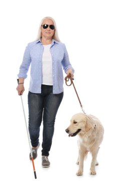 Blind person with long cane and guide dog on white background clipart