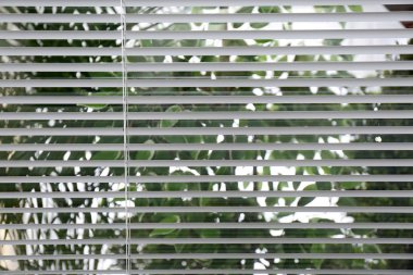 Açık beyaz yatay pencere jaluzi, çekim görünümü