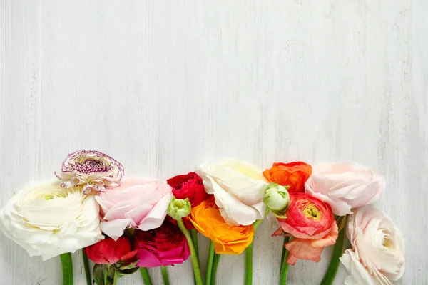 Belles fleurs de ranunculus et espace pour le texte sur fond en bois, pose plate — Photo