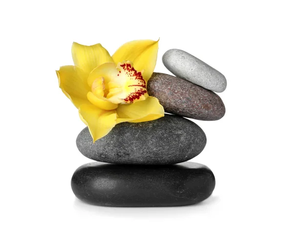 Wellness-Steine und schöne Orchidee auf weißem Hintergrund — Stockfoto