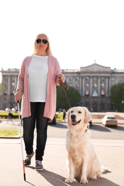 Perro guía ayudando a ciegos con bastón largo caminando al aire libre — Foto de Stock