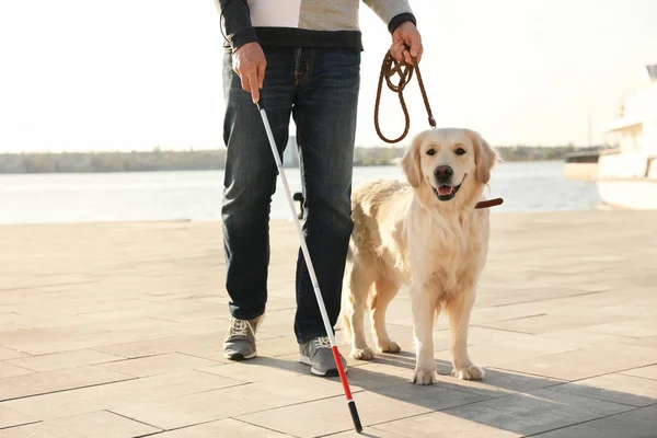 导盲犬用长手杖帮助盲人在城市里行走 — 图库照片