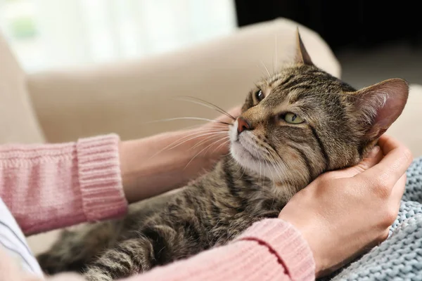 Симпатичный кот с владельцем на диване, крупным планом. Дружелюбный питомец — стоковое фото