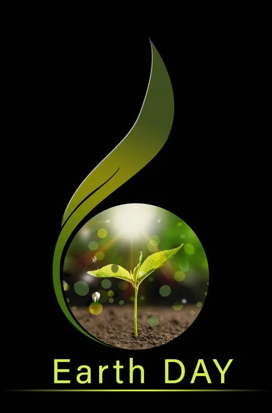 Text EARTH DAY and young seedling in soil on black background — Stock Photo, Image