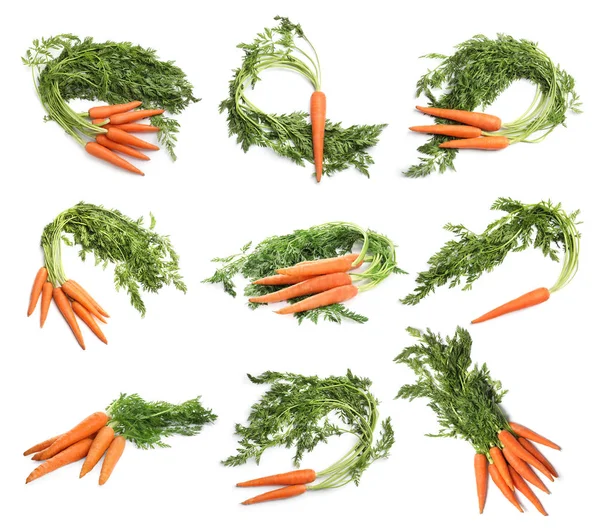 Conjunto de cenouras maduras frescas no fundo branco — Fotografia de Stock