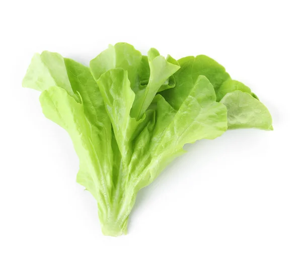 Лист свіжого салату для бургерів ізольований на білому, вид зверху — стокове фото