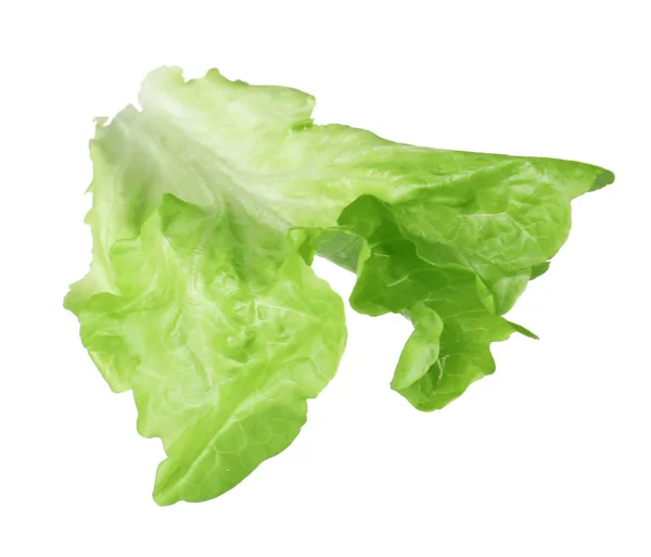 Leaf of fresh lettuce for burger isolated on white — Stock Photo, Image